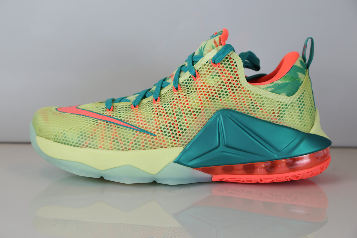 nike lebron 12 low