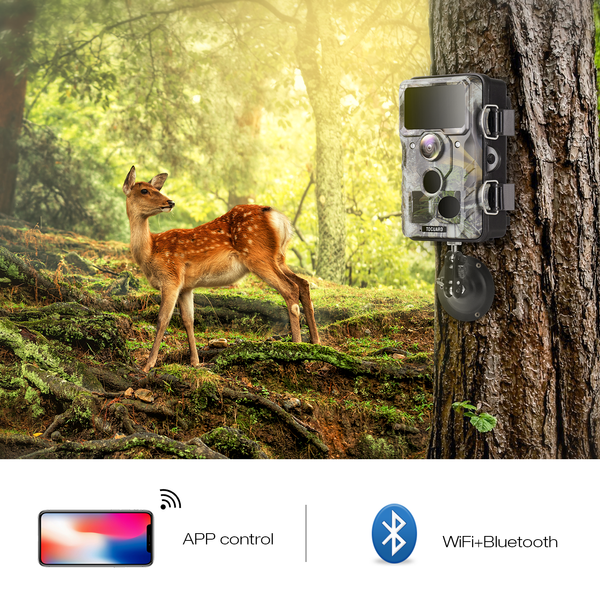 TOGUARD 20MP 1296P WiFi Trail Game Camera Outdoor Hunting Cam FIR Night Vision 