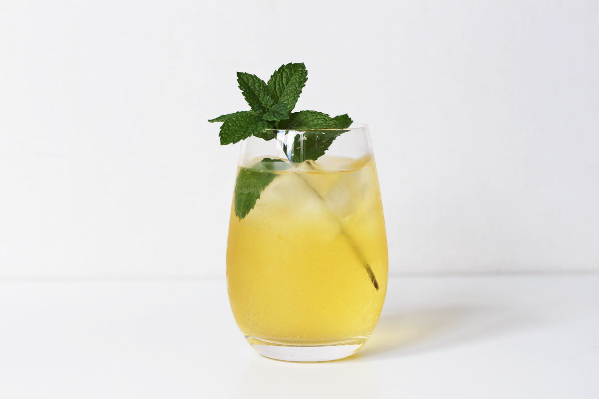 Kombucha sparkling water recipes