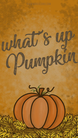 What's Up Pumpkin - MarcoLooks Screensaver