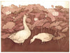 Geese and Lotus