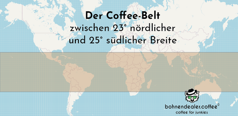 Coffee Belt Kaffeegürtel bohnendealer.coffee