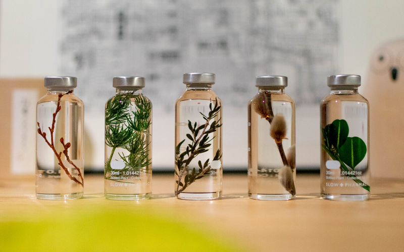 terrarium-liquide-nature-decoration-seoul