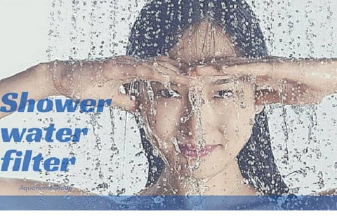 Shower water filter
