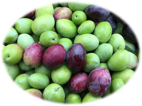 biancolilla-olives