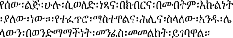 Sample Amharic text that states the first article of the universal declaration of human rights