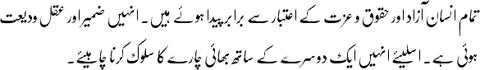 Urdu sample text