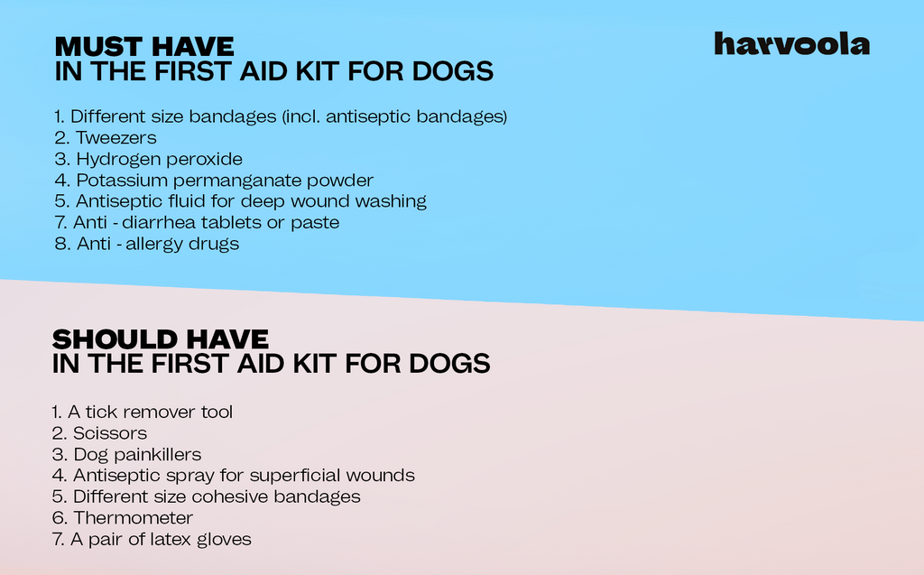 first aid kit for dogs checklist