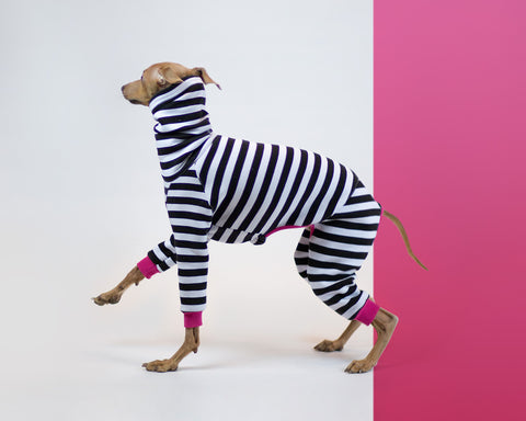 harvoola blog italian greyhound striped jumper onesie