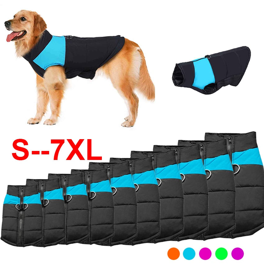 large dog clothes