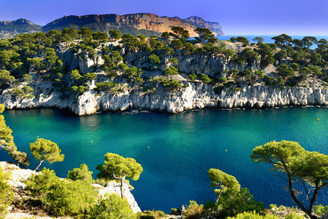A view from atop a Calanque in Provence, France during the summer.