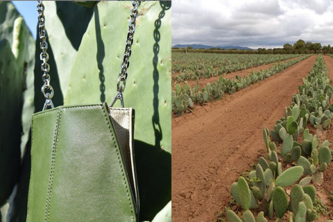 Cactus Ecofriendly Mexican Leather 