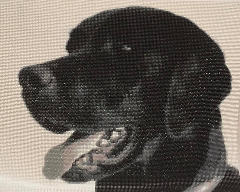 Black & white diamond painting of dog