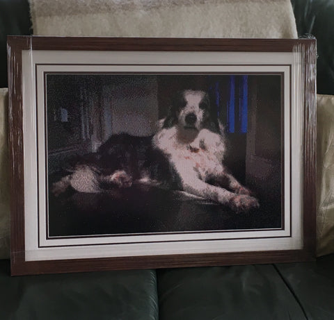 Framed diamond painting of a sitting dog