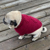 cable knit alpaca wool dog sweater