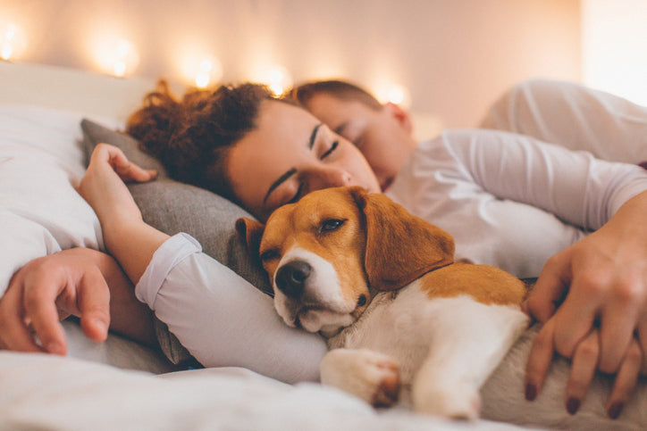 should you let puppies sleep in your bed