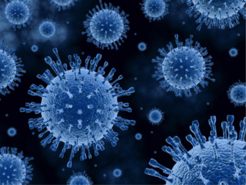 Figura 2: fotografia tirada em microscópio ao vírus Influenza H1N1.  São indisfarçáveis as semelhanças para os Coronavírus