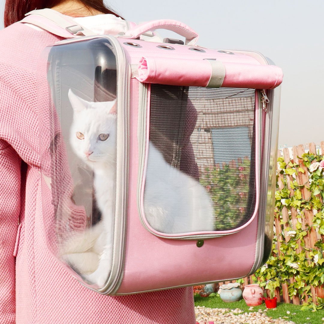 étnico Cabecear dinámica Comfort Cats Carrier Backpack | Gatufy
