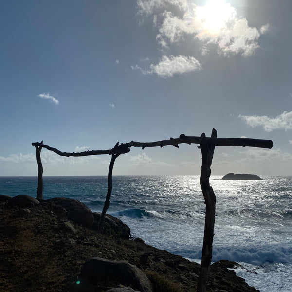 the sea behind a rustic fence