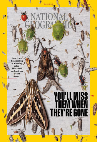 https://www.nationalgeographic.com/content/dam/magazine/rights-exempt/2020/05/national-geographic-magazine-may-2020-insects-disappearing.ngsversion.1587649202348.adapt.1900.1.jpg