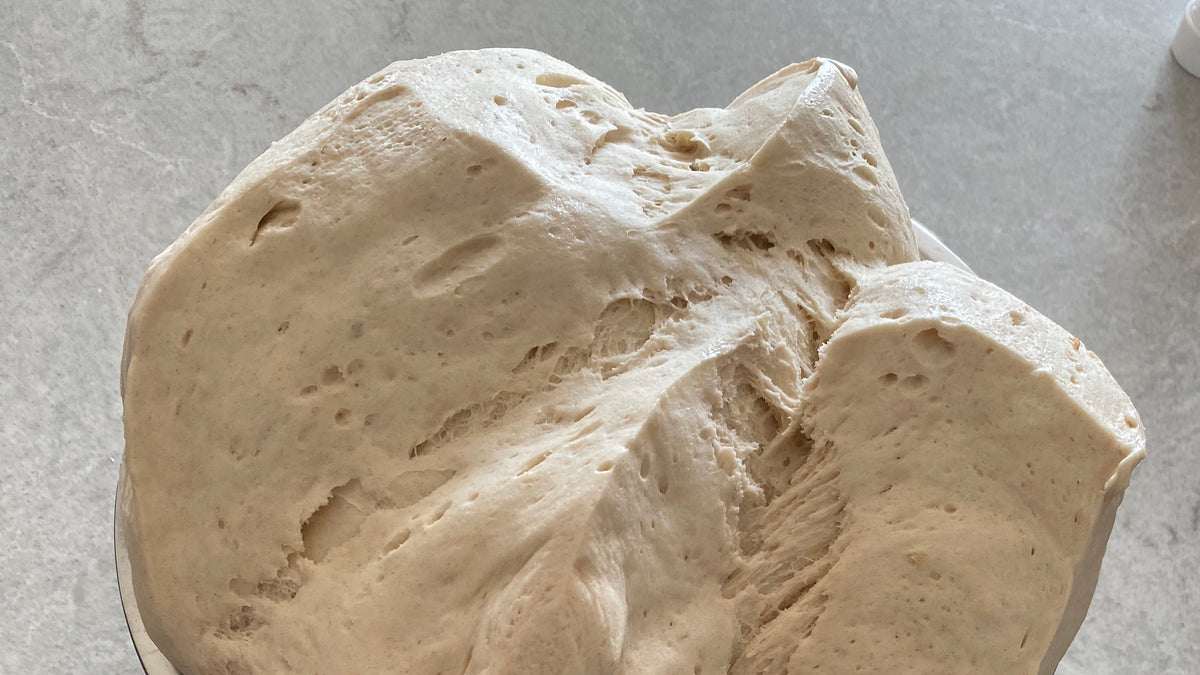 Motherdough Is Not A Typical Sourdough Starter