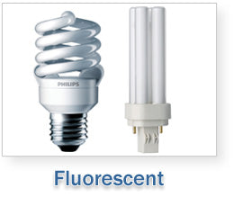 Compact Fluorescent Bulbs