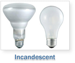 Incandescent Light Bulbs 