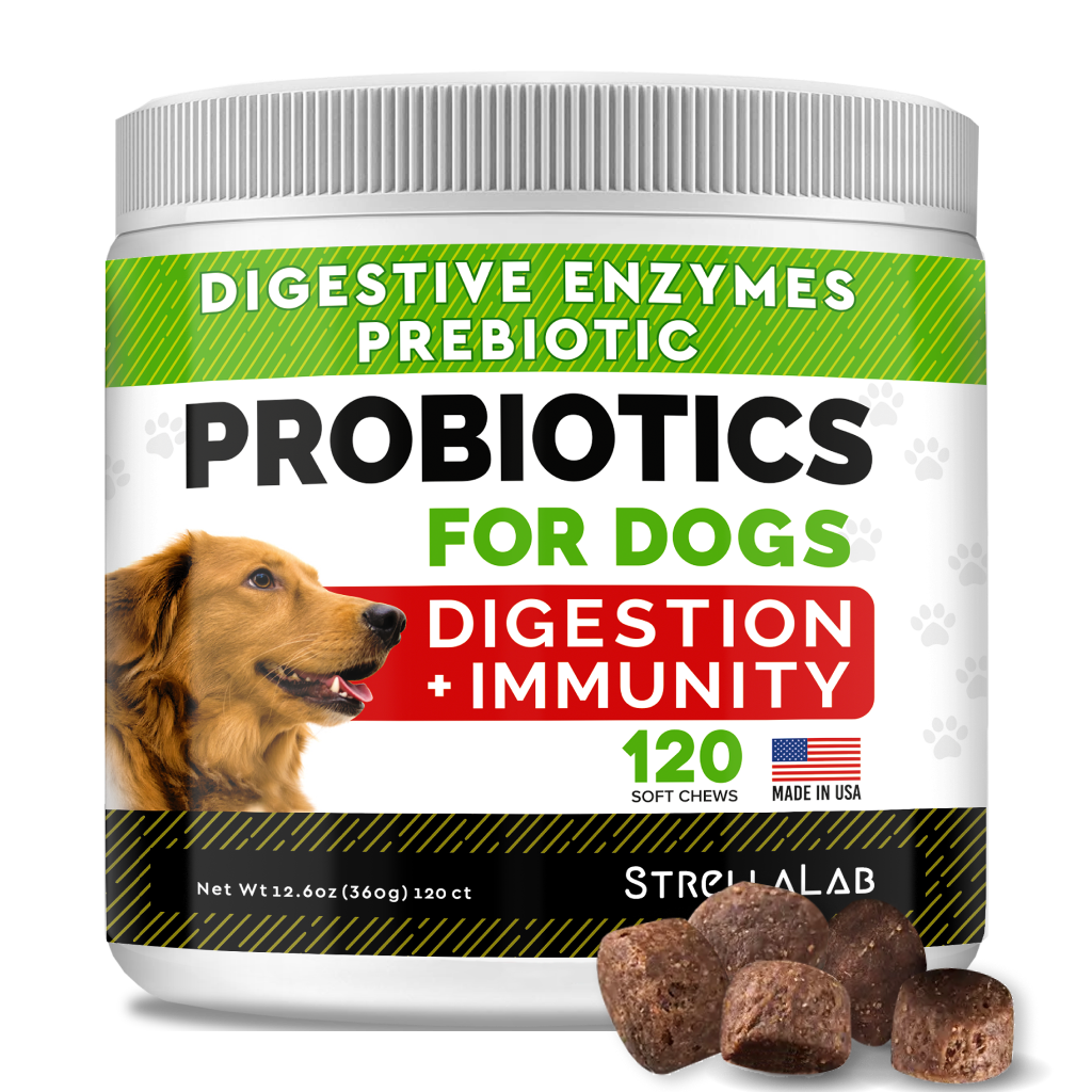how do probiotics work for dogs