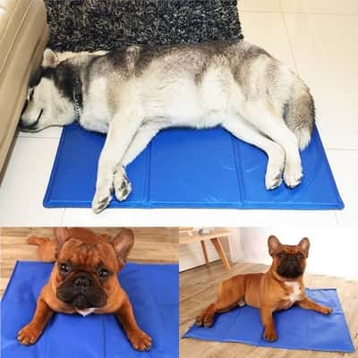 Tapis rafraîchissant pour chien - PEPERE SHOP