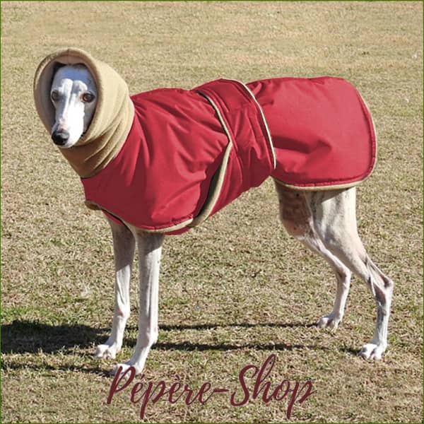 Manteau lévriers - Whippet ou lévriers italiens |PEPERE SHOP