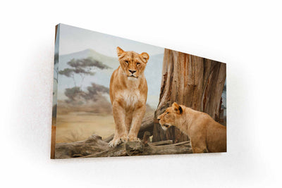 Two Lionesses