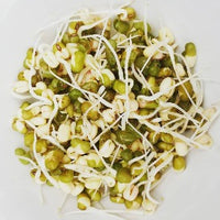 Moong Sprouts
