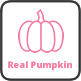 Real Pumpkin