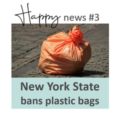New York State bans plastic bags