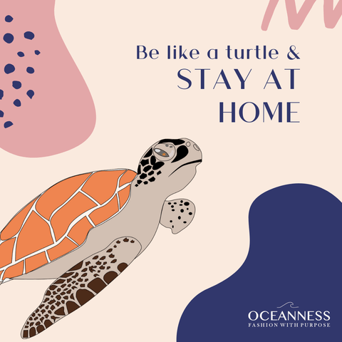 Be like a turtle and stay at home