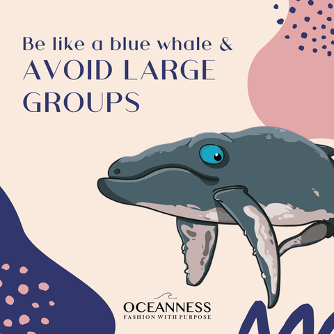 Be like a blue whale and avoid large groups