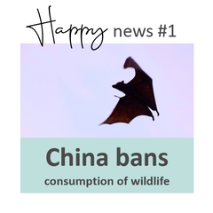 China bans consumption of wildlife