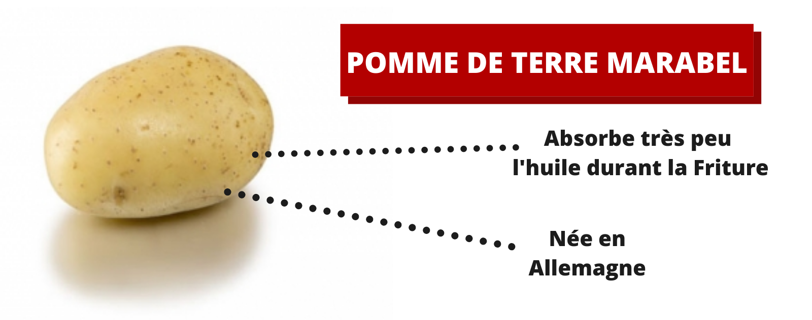 Pomme de Terre Marabel