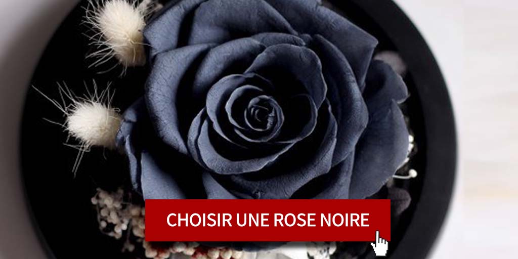 choisir une rose noire éternelle