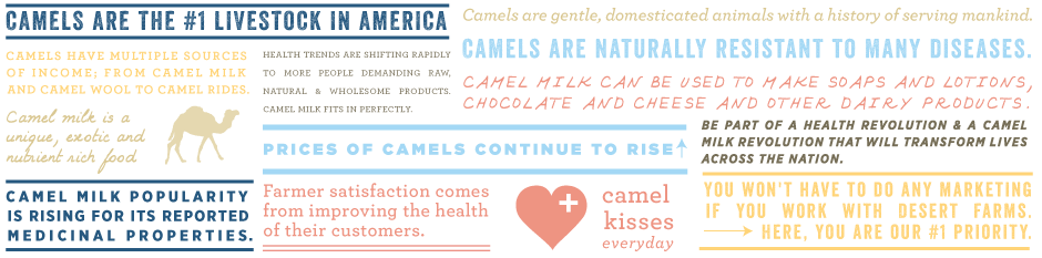 How to start a camel dairy farm