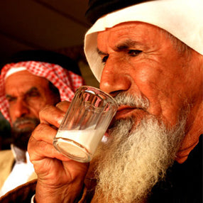 bedouin drinking camel milk