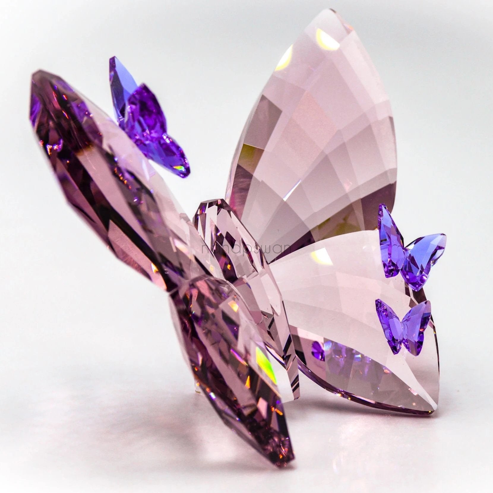 大注目 SWAROVSKI Butterfly Rosaline Amazon.in: Large - fullgauge.com