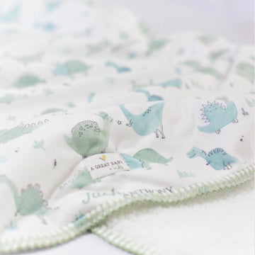 Dino Toddler Sherpa Blanket