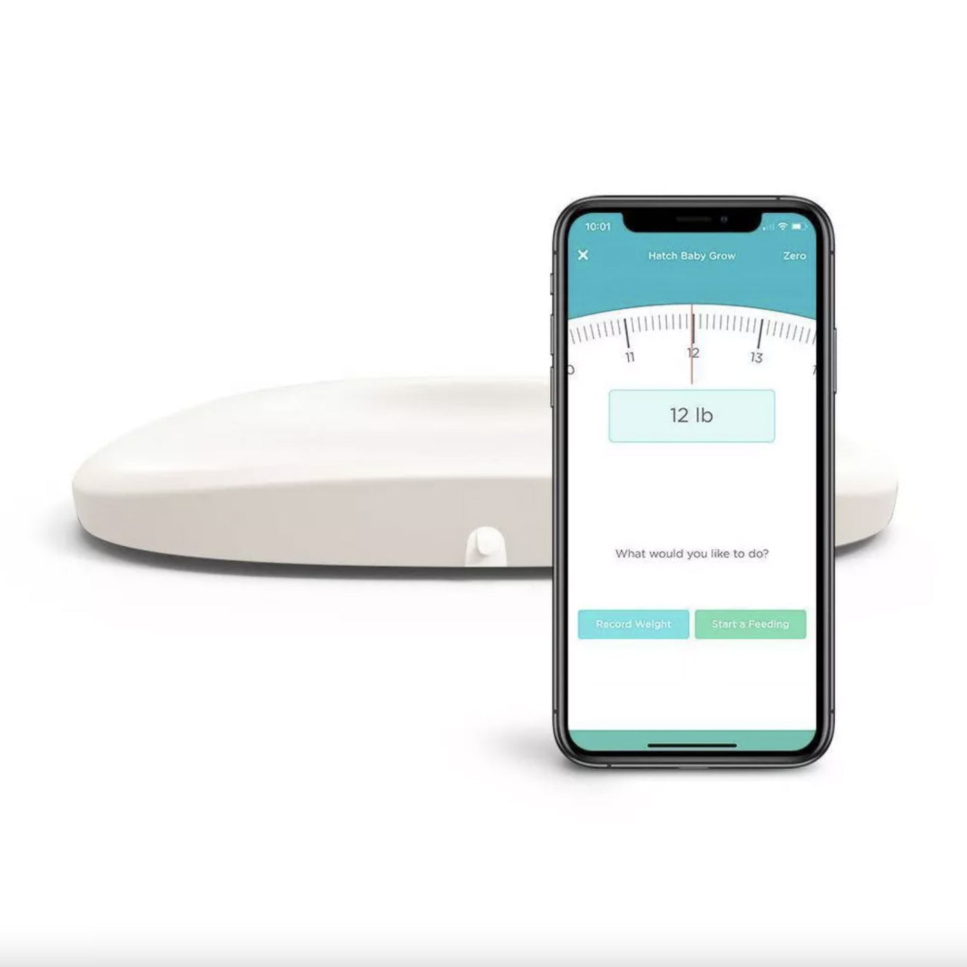 Grow Smart Scale/Changing Pad