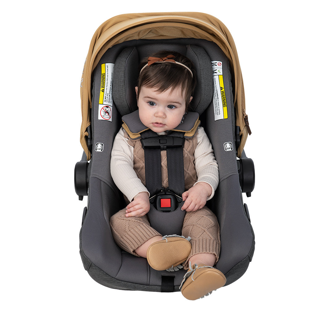 Baby sitting in Nuna PIPA lite rx + RELX base in -- Color_Camel