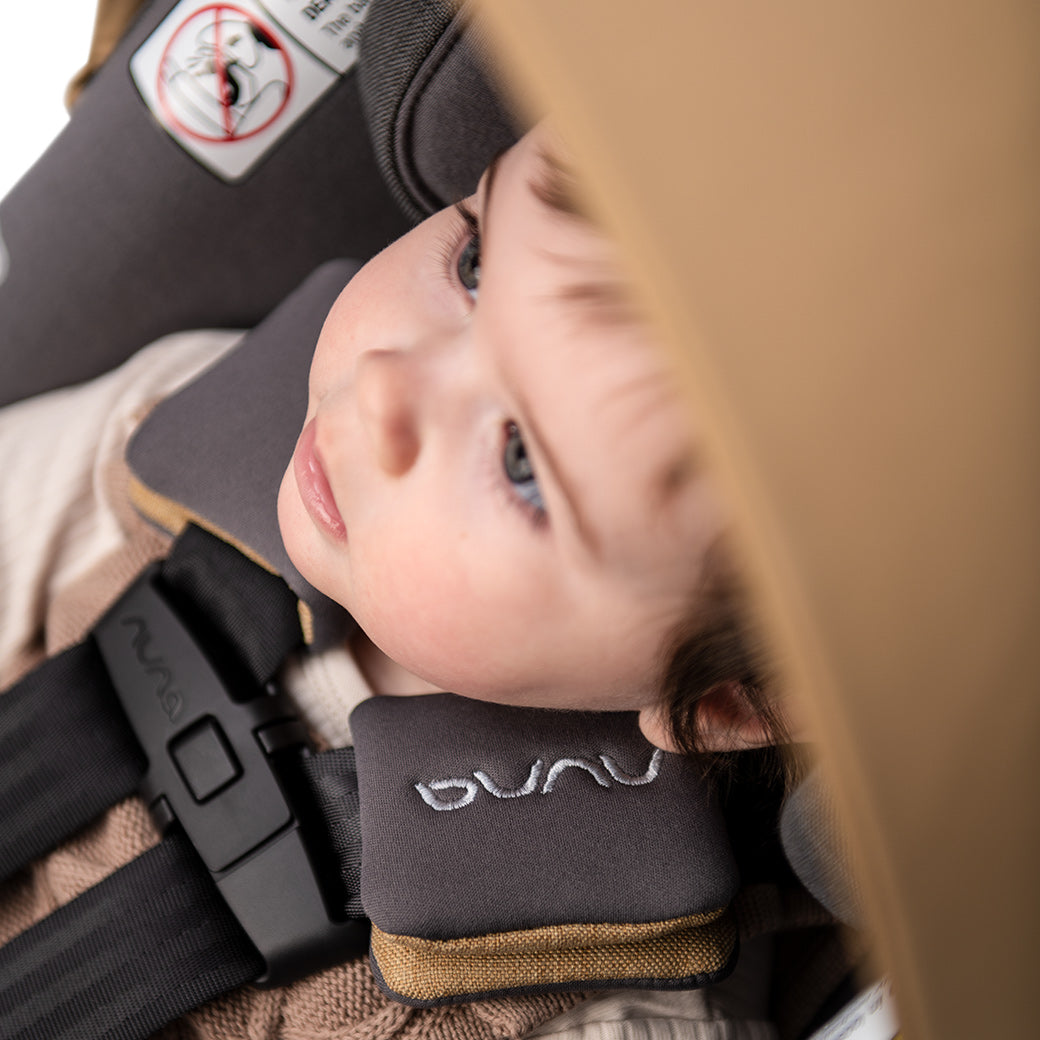 Close up of baby in Nuna PIPA lite rx + RELX base in -- Color_Camel