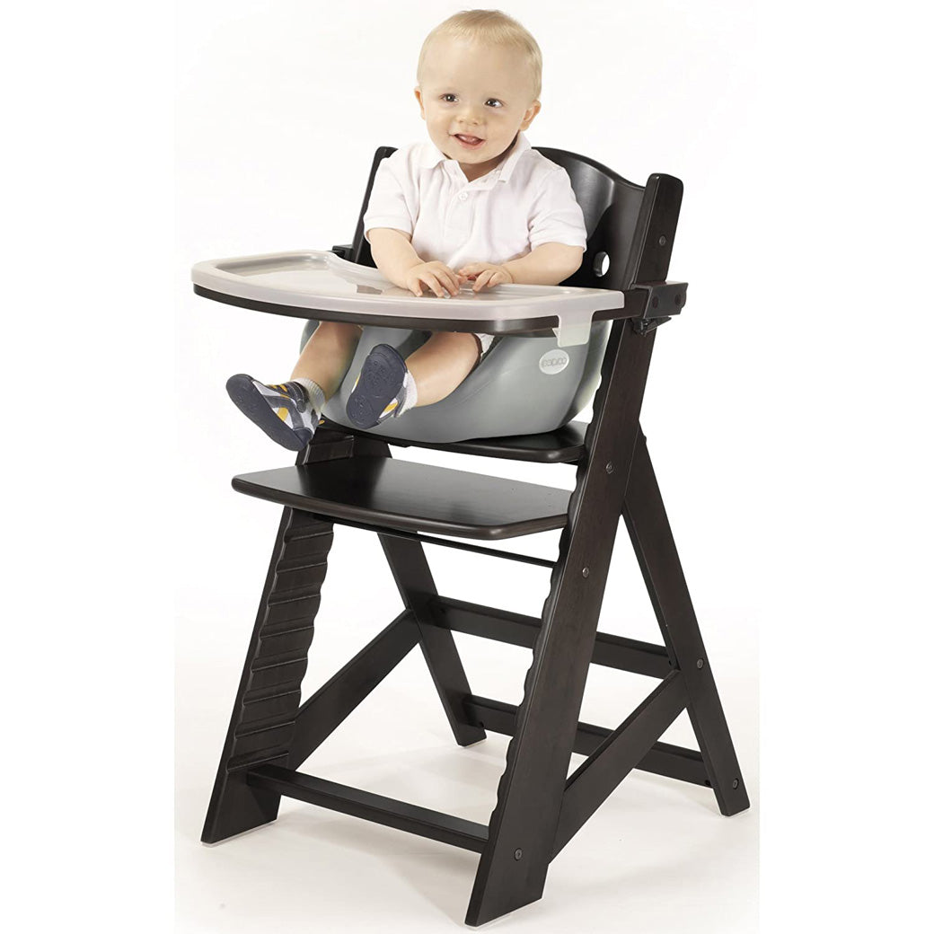 High Chair + Infant Insert