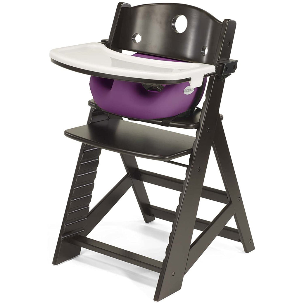 High Chair + Infant Insert