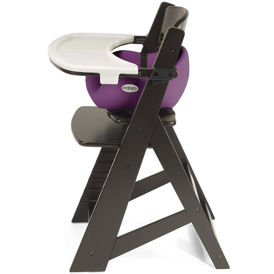 High Chair + Infant Insert