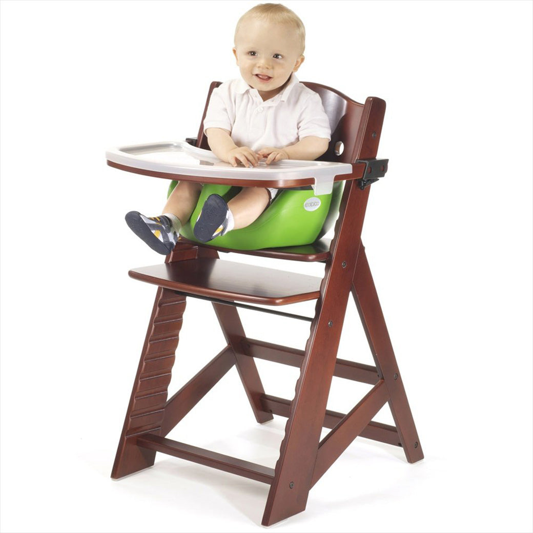 High Chair + Infant Insert